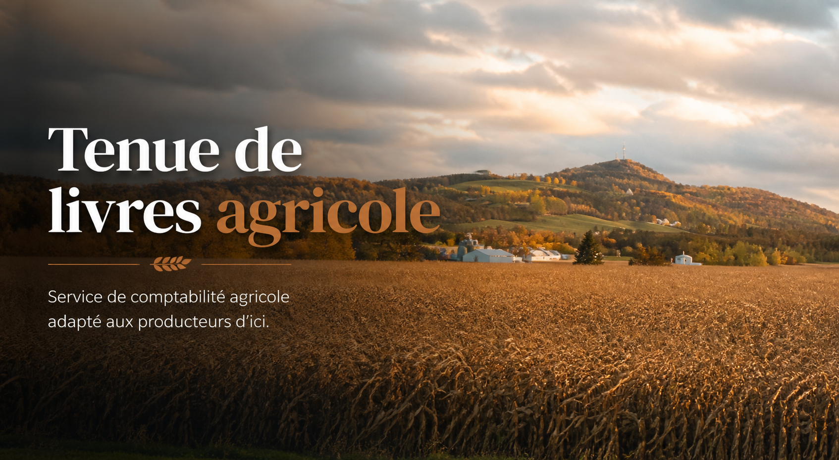 Comptabilité Agricole Stelan